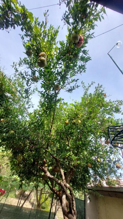 Relax Camping Gjirokastër 外观 照片